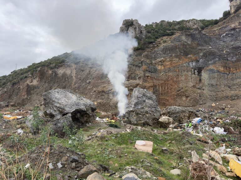 Söke–Doğanbey Milli Park Güzergâhında Çevresel Çöküş: Atık, Yangın Riski ve Gıda Güvensizliği